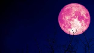 astrónomos acontecimiento