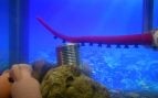 robot submarino inteligente
