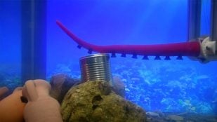 robot submarino inteligente