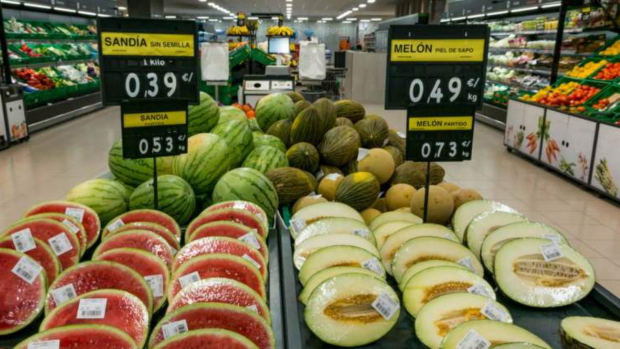 Sand&iacute;as y melones de Mercadona