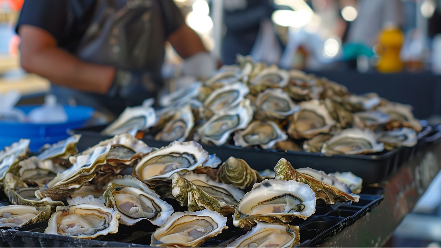 Es una de las peores especies invasoras que existen en España, pero Italia ha logrado controlar la plaga en el Mediterráneo cultivando ostras