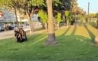 Argelino detenido ibiza