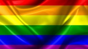 Orgullo Gay