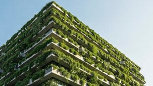 Edificio cubierto con vegetación. Foto: Freepik