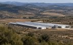 Macrogranja El Pobo, granja avícola en Aragón, macrogranja El Pobo gallinas.