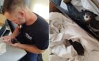 El sutil arte de salvar una vida: el policía local de Alcúdia que reanimó a jeringuilla a unas golondrinas deshidratadas