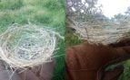 Pequeño nido de pájaro fabricado con cable de fibra óptica para drones. Fuente: Oleg Malchenko