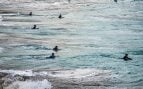 Cómo salir de corriente de resaca en el mar, qué hacer si no puedo salir del mar, truco para escapar de la corriente en la playa.
