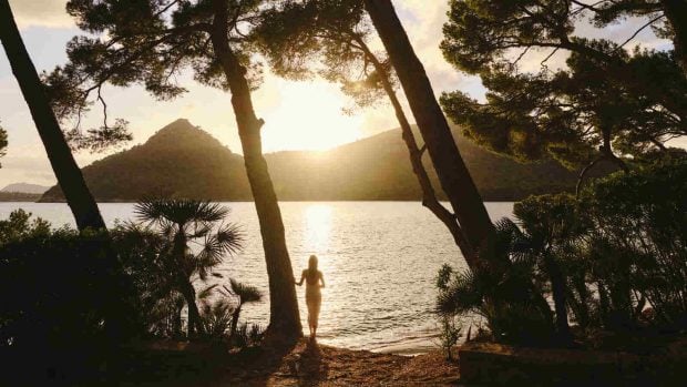Four Seasons para el eclipse