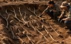 excavación, arqueología, descubrimiento