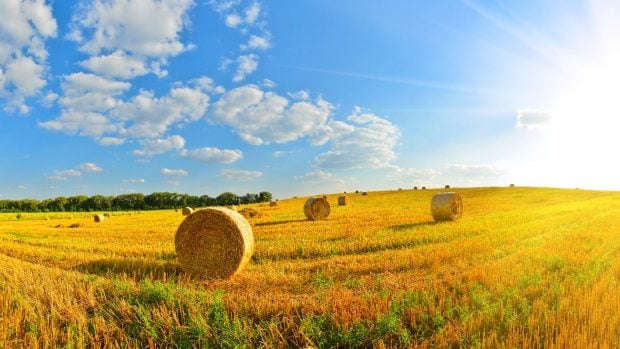 encuesta agricultores
