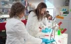 El cerebro y el hígado, claves en el crecimiento infantil: descubren un nuevo origen de algunos trastornos