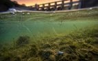 Plomo, pesca, medio ambiente
