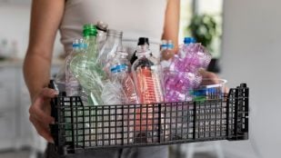 Reciclar botellas plásticas. Foto: Freepik