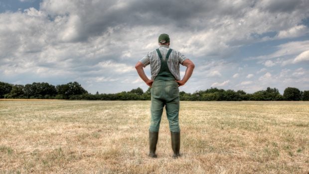wikifarmer