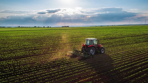 wikifarmer agricultores