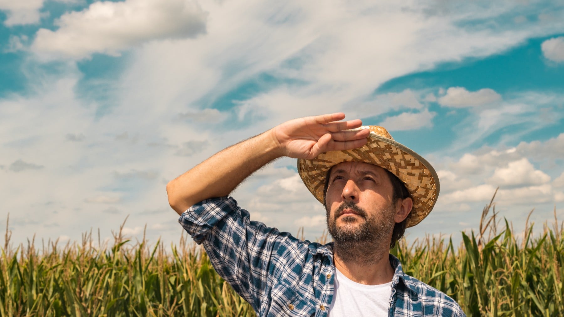 Una encuesta a 10.234 agricultores de 158 países constata que la mitad no cobra precios justos y el 83% pierde cosecha por el clima.