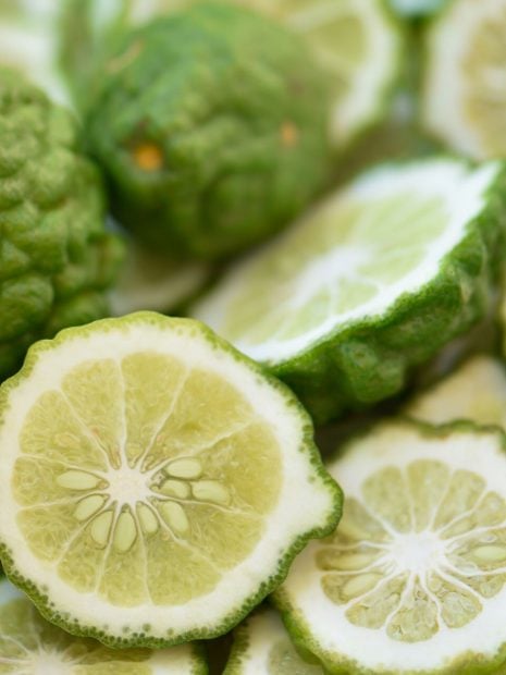 la spugnatura tecnica perfumeria