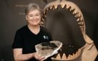 La Dra. Mette Elstrup sostiene una vértebra fósil de 10,8 millones de años del megalodón (Otodus megalodon), hallada en la Formación Gram (Dinamarca) y estudiada en la nueva investigación. Al fondo, una reconstrucción de su mandíbula. Crédito: Museo del Sur de Jutlandia, Dinamarca