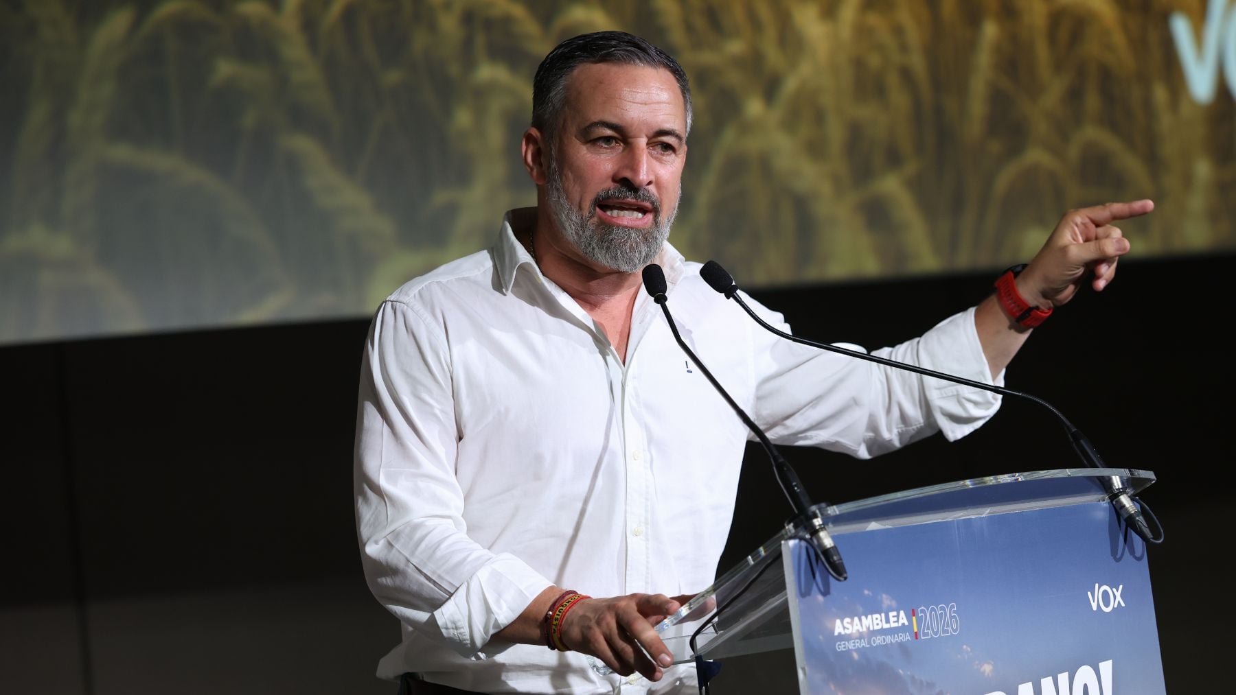 Abascal sobre las prisas de Sánchez por la Ley de Nietos: Pretende robar las elecciones desde América