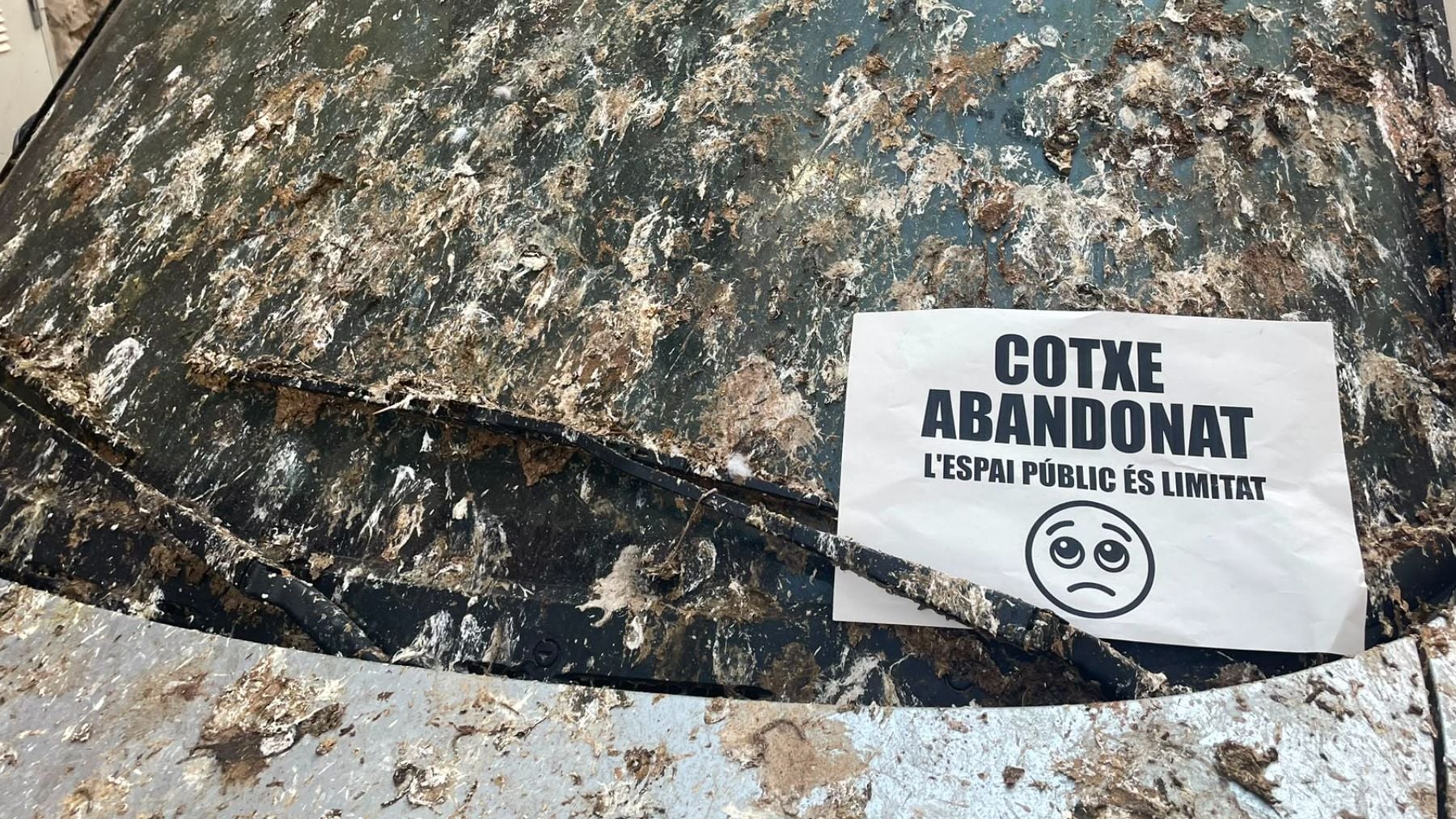 Uno de los coches abandonados del barrio de Pere Garau en Palma.