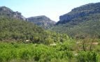 El paraíso escondido de Cataluña con piscinas naturales, cascadas y rodeado de vegetación para escapar del calor