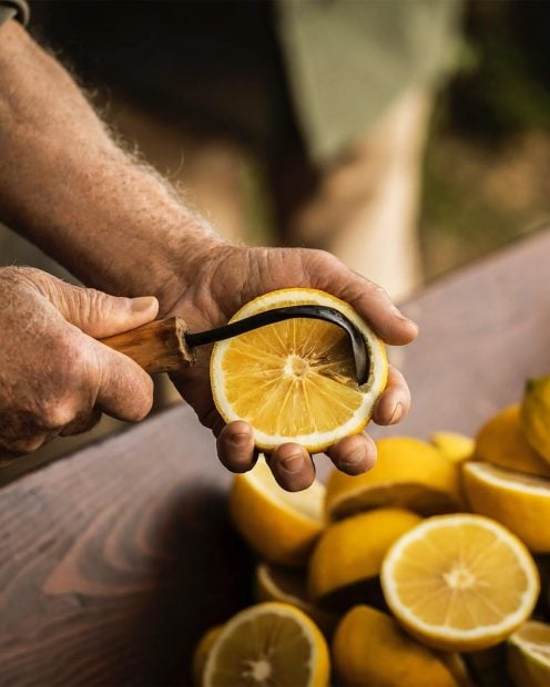 la spugnatura tecnica perfumeria