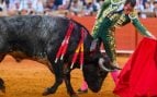 toros