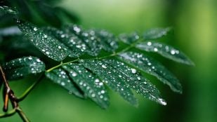 China y lluvias