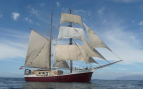 Barco