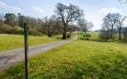 Camino que atraviesa la finca Knepp, donde se está desarrollando un exitoso proyecto de reintroducción de especie.