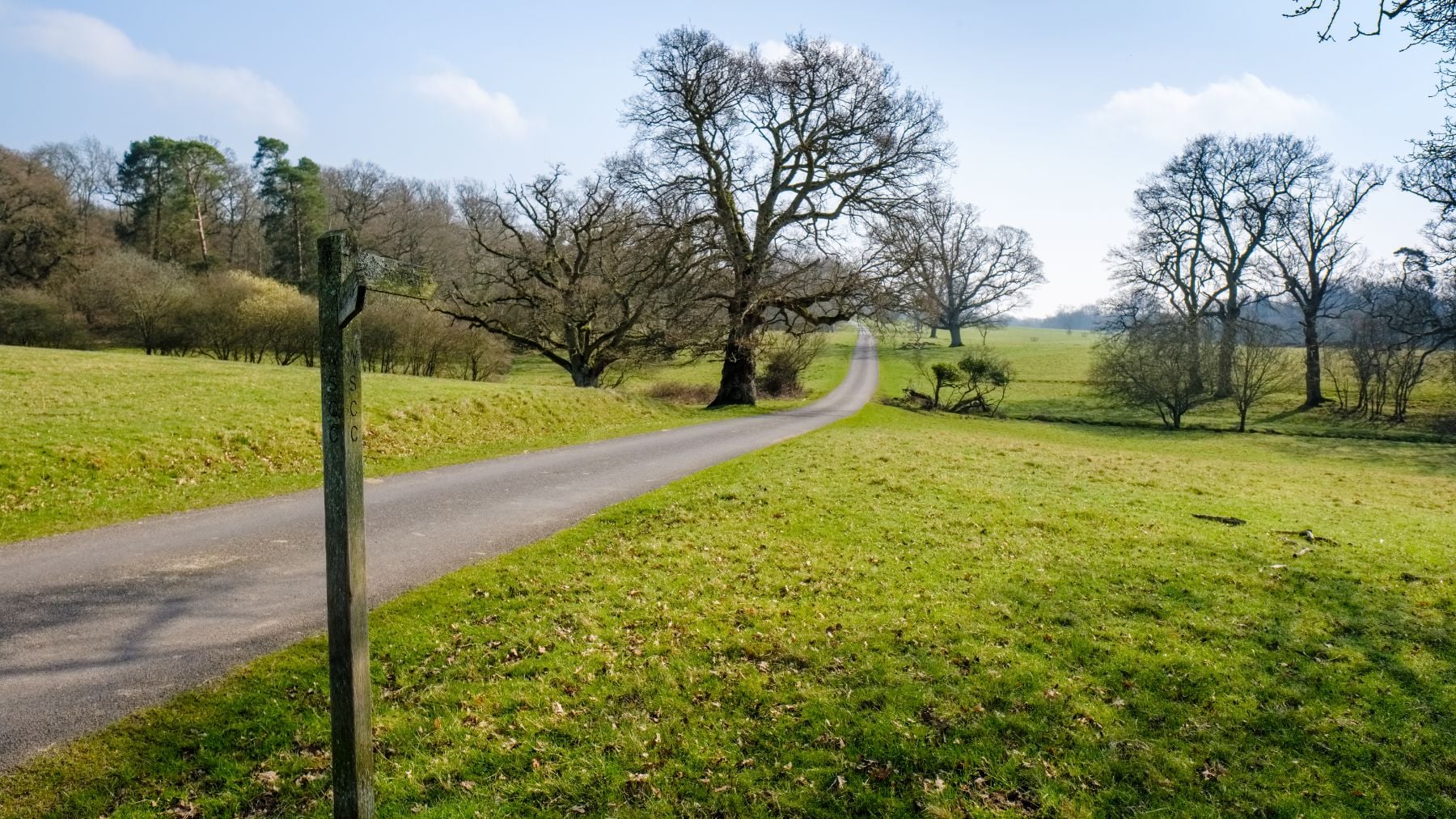 Camino que atraviesa la finca Knepp, donde se está desarrollando un exitoso proyecto de reintroducción de especie.
