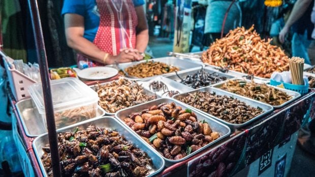 insectos en un mercado