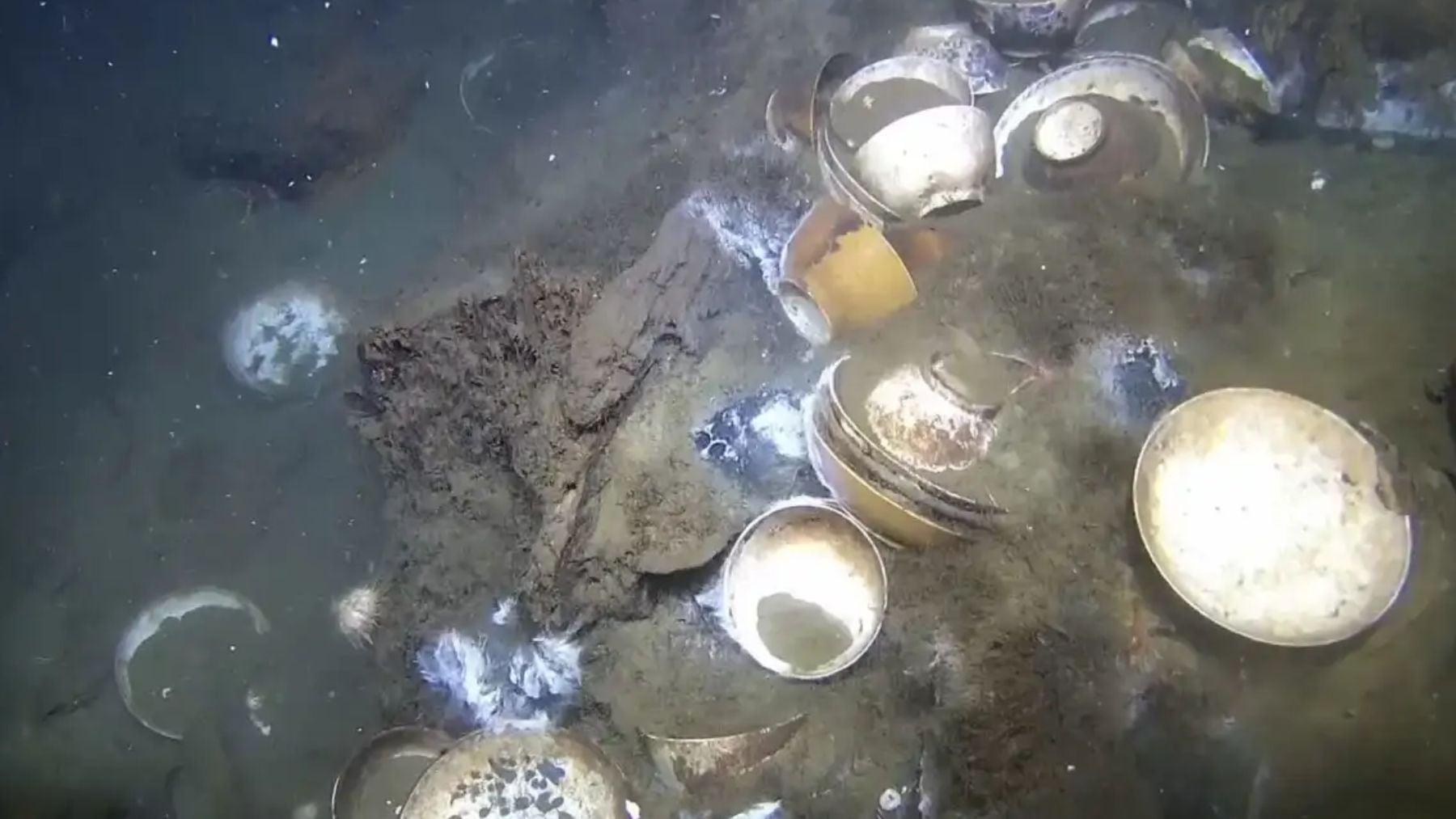 Hallazgo insólito en aguas noruegas: descubren el naufragio de un barco del siglo XVIII con un cargamento intacto de porcelana china