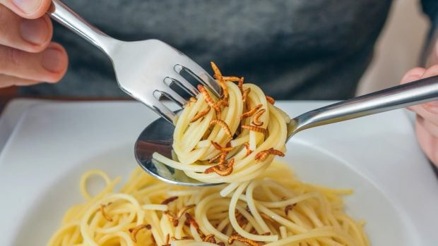 pasta con gusanos