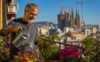 hombre, plantas, huerto, jardinería