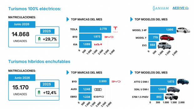 Turismos electrificados por marcas y modelos junio 2026