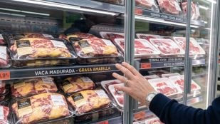 Carne de vacuno
