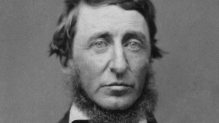 Henry David Thoreau, filósofo