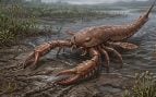 Escorpión gigante