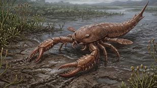 Escorpión gigante