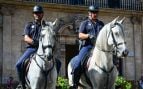 caballos policía local Palma Unidad Montada