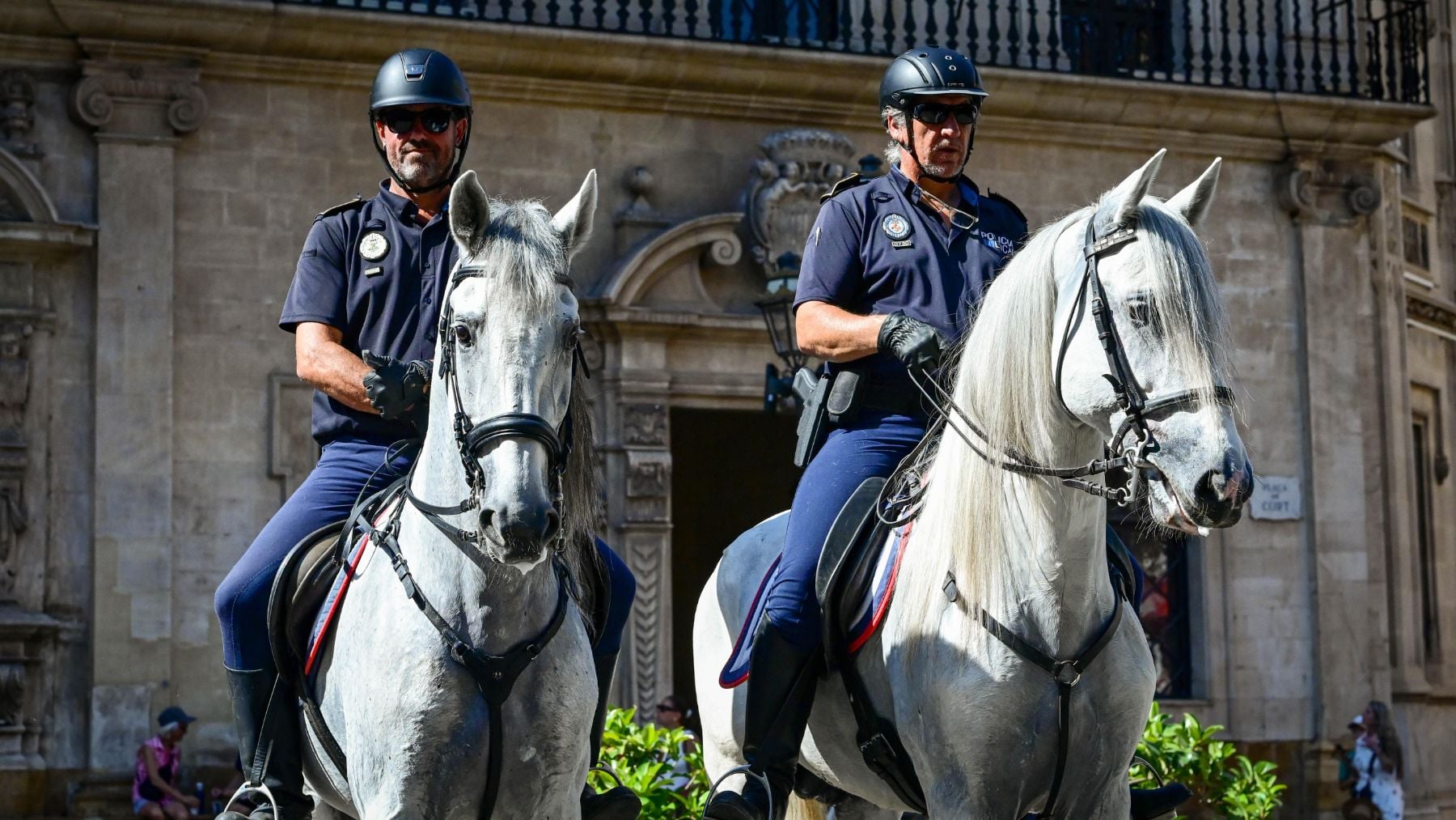 Los dos nuevos caballos de la Unidad Montada de la Policía Local de Palma.