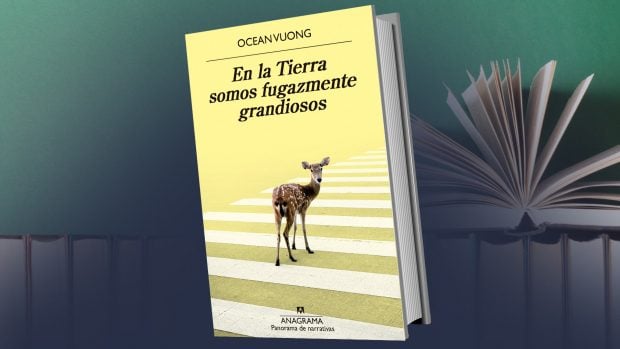 libros