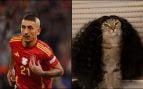 Los mejores memes del España-Austria