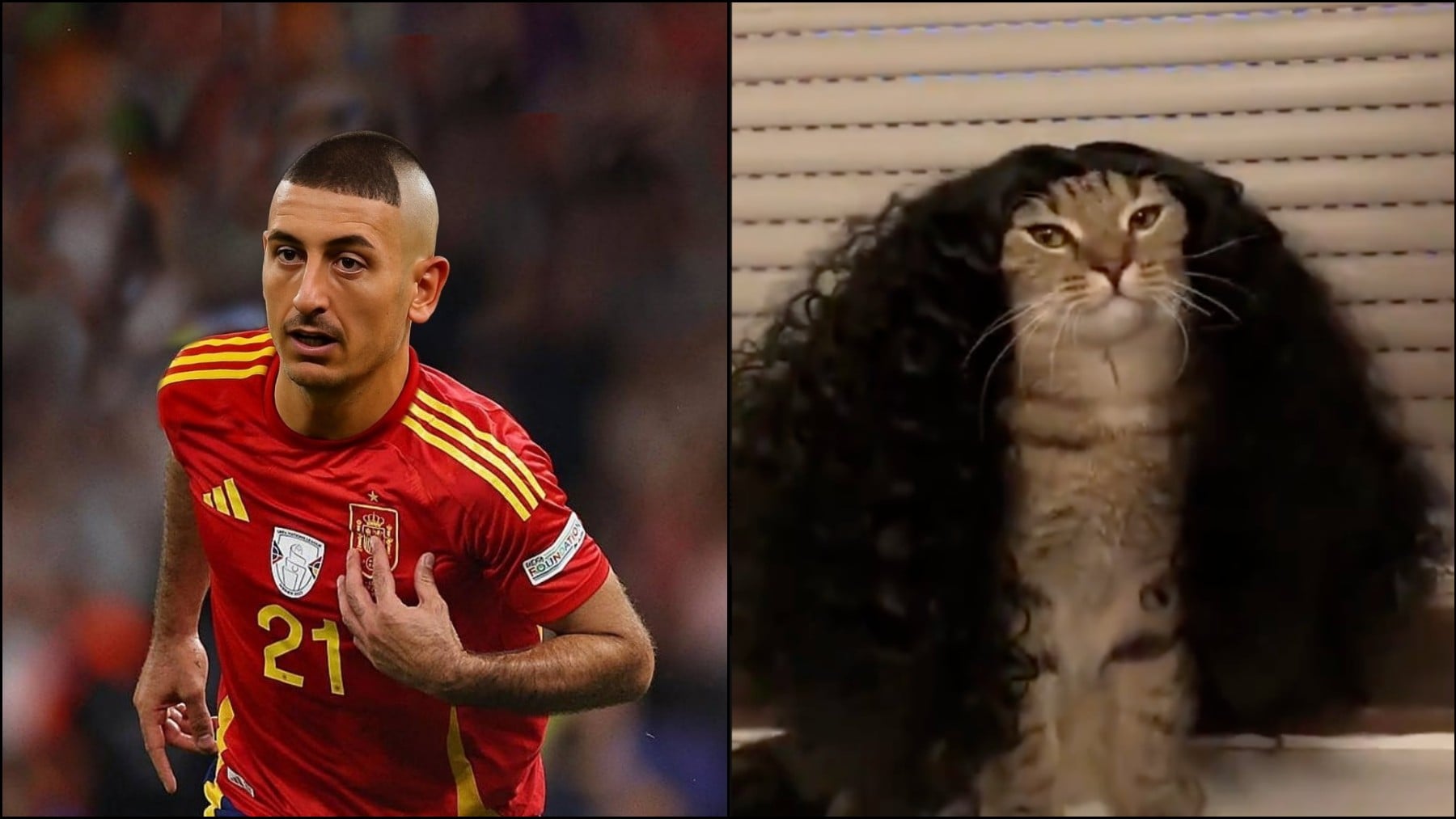 Los mejores memes del España - Austria