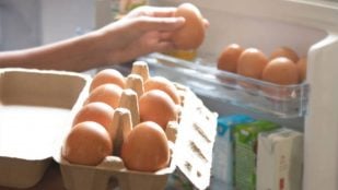 conservar los huevos