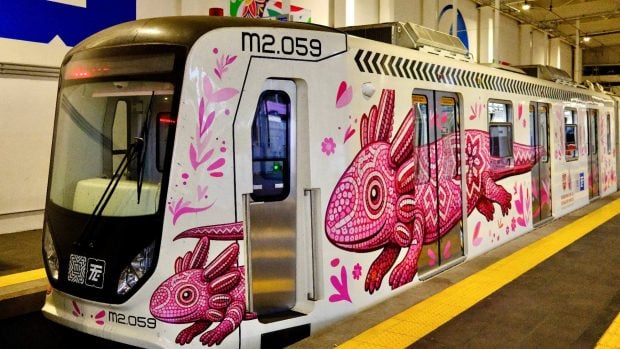 Metro con un ajolote rosa pintado. Foto: Gregory - stock.adobe.com.