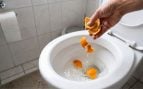 Cáscaras de naranja