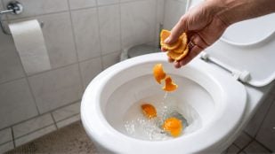 Cáscaras de naranja